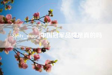 和田中国冠军品牌是真的吗