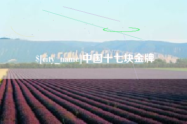 和田中国十七块金牌