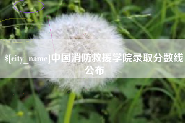 和田中国消防救援学院录取分数线公布
