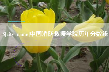 和田中国消防救援学院历年分数线