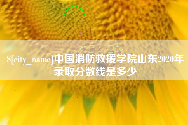 和田中国消防救援学院山东2020年录取分数线是多少