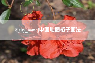 和田中国地图格子画法