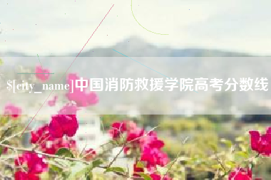 和田中国消防救援学院高考分数线