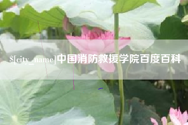 和田中国消防救援学院百度百科