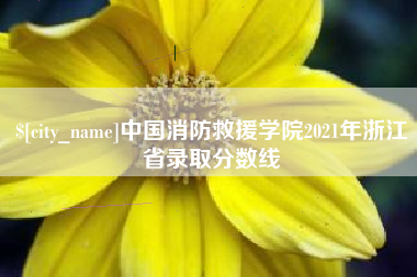 和田中国消防救援学院2021年浙江省录取分数线