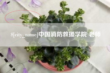 和田中国消防救援学院 老师
