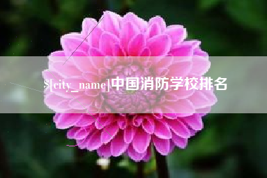 和田中国消防学校排名