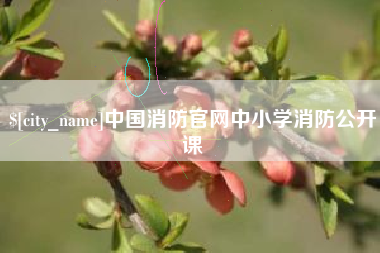 和田中国消防官网中小学消防公开课