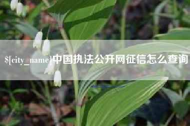 和田中国执法公开网征信怎么查询