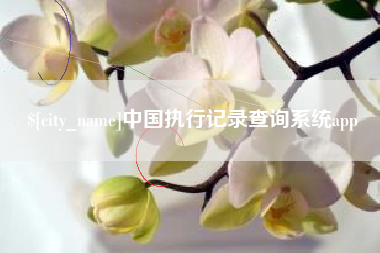 和田中国执行记录查询系统app