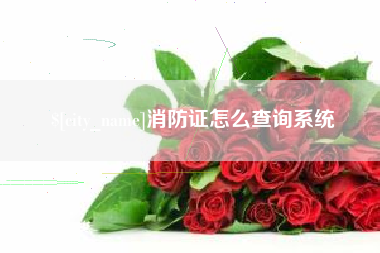 和田消防证怎么查询系统