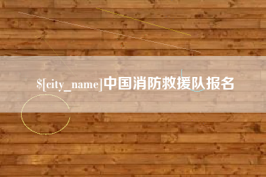 和田中国消防救援队报名