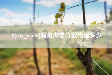 和田消防大学分数线是多少
