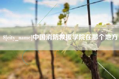 和田中国消防救援学院在那个地方