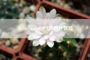 和田2021消防分数线