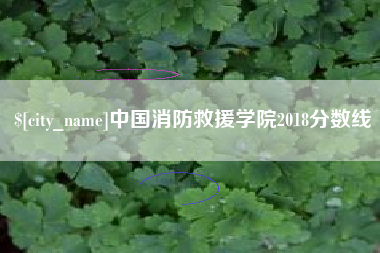 和田中国消防救援学院2018分数线