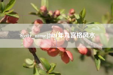 和田2021年九宫格风水