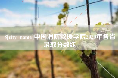 和田中国消防救援学院2020年各省录取分数线