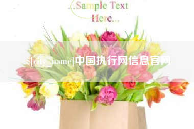 和田中国执行网信息官网