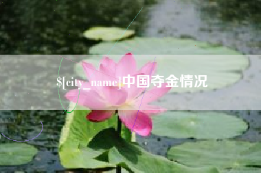 和田中国夺金情况