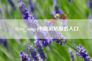 和田中国消防报名入口