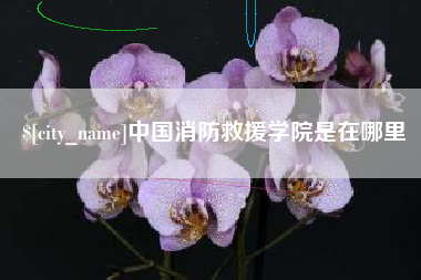 和田中国消防救援学院是在哪里