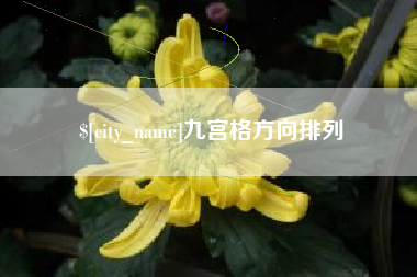 和田九宫格方向排列