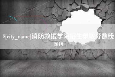和田消防救援学院招生录取分数线2019