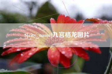 和田九宫格龙图片