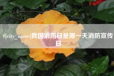 和田我国消防日是哪一天消防宣传日