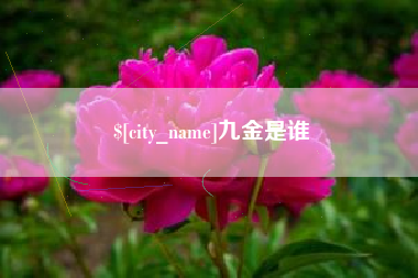 和田九金是谁