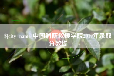 和田中国消防救援学院2019年录取分数线