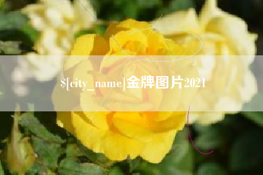 和田金牌图片2021