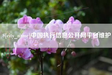 和田中国执行信息公开网平台维护