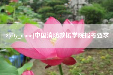 和田中国消防救援学院报考要求