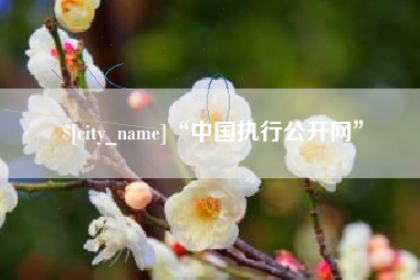 和田“中国执行公开网”