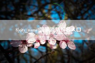 和田国家消防报名入口