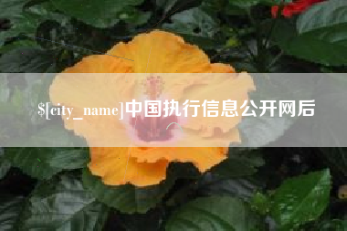 和田中国执行信息公开网后