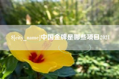 和田中国金牌是哪些项目2021