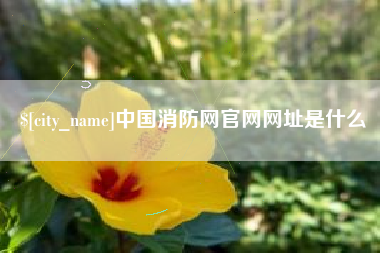 和田中国消防网官网网址是什么