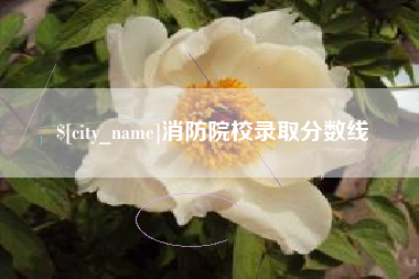 和田消防院校录取分数线