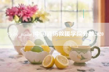 和田中国消防救援学院分数2020