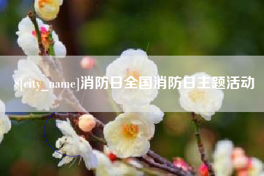和田消防日全国消防日主题活动
