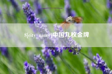 和田中国九枚金牌