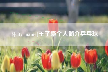 和田王子豪个人简介乒乓球