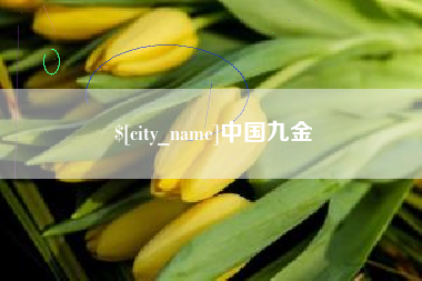 和田中国九金