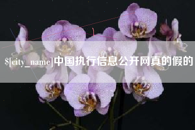 和田中国执行信息公开网真的假的