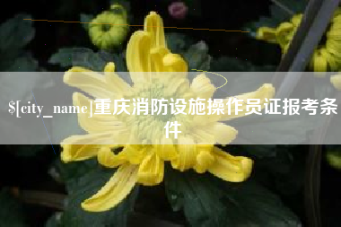 和田重庆消防设施操作员证报考条件