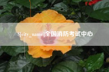 和田全国消防考试中心