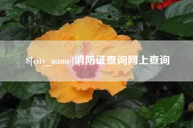 和田消防证查询网上查询
